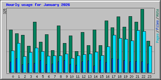 Hourly usage for January 2026